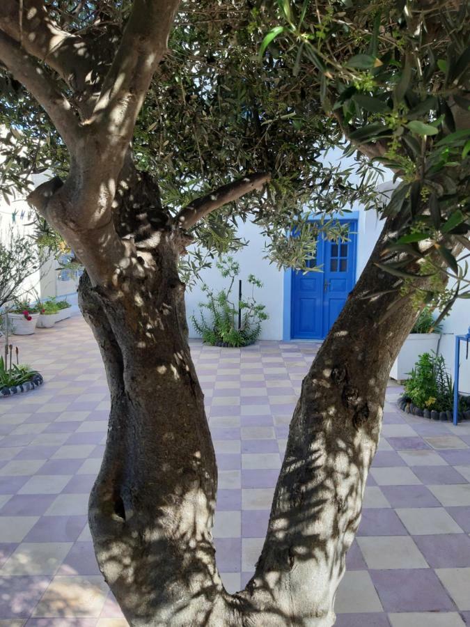 شقق كاترينا كافيري فِروستيفاني المظهر الخارجي الصورة